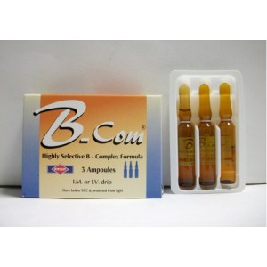 B-COM 6 AMP
