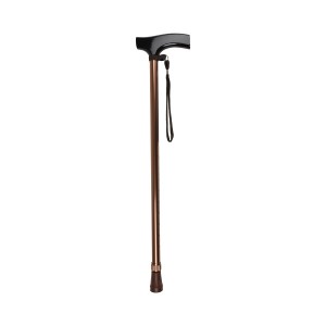 INCLUDED WALKING STICK - T